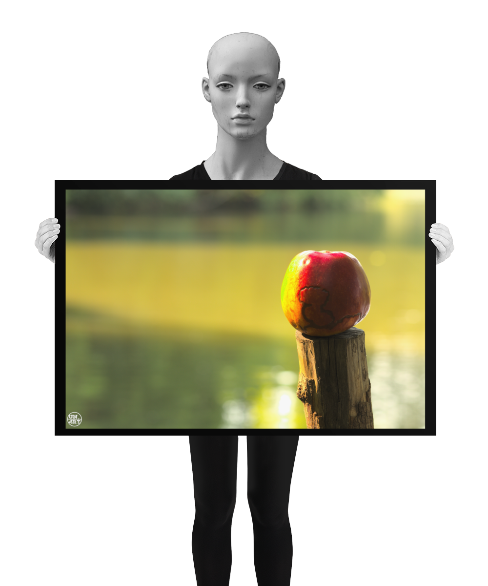 un4rt - photographie of a red and yellow apple on a cutted tree trunk in font of a lake. the apple shows traces of a worm under its skin. the surface of the lake is unfocused. the image is held by a mannequin in black and white.