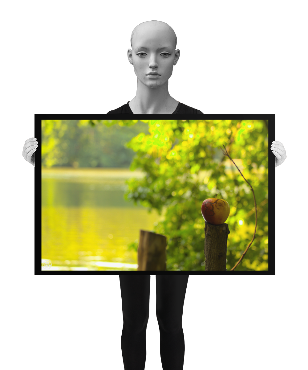 un4rt - photographie of a red and yellow apple on a cutted tree trunk in font of a lake. another tree trunk next to it. the apple shows traces of a worm under its skin. the surface of the lake is unfocused. leaves  of a tree behind the apple. the image is held by a mannequin in black and white.