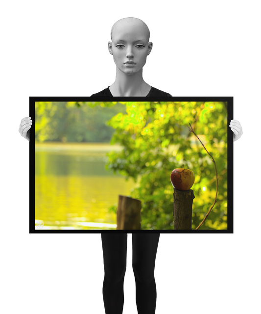 un4rt - photographie of a red and yellow apple on a cutted tree trunk in font of a lake. another tree trunk next to it. the apple shows traces of a worm under its skin. the surface of the lake is unfocused. leaves  of a tree behind the apple. the image is held by a mannequin in black and white.