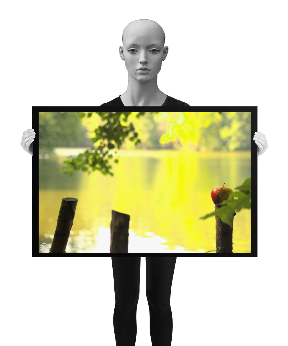 un4rt - photographie of a red and yellow apple on a cutted tree trunk in font of a lake. two more tree trunks next to it. the apple shows traces of a worm under its skin. the surface of the lake is unfocused. leaves  of a tree behind and in front of the apple. the image is held by a mannequin in black and white.