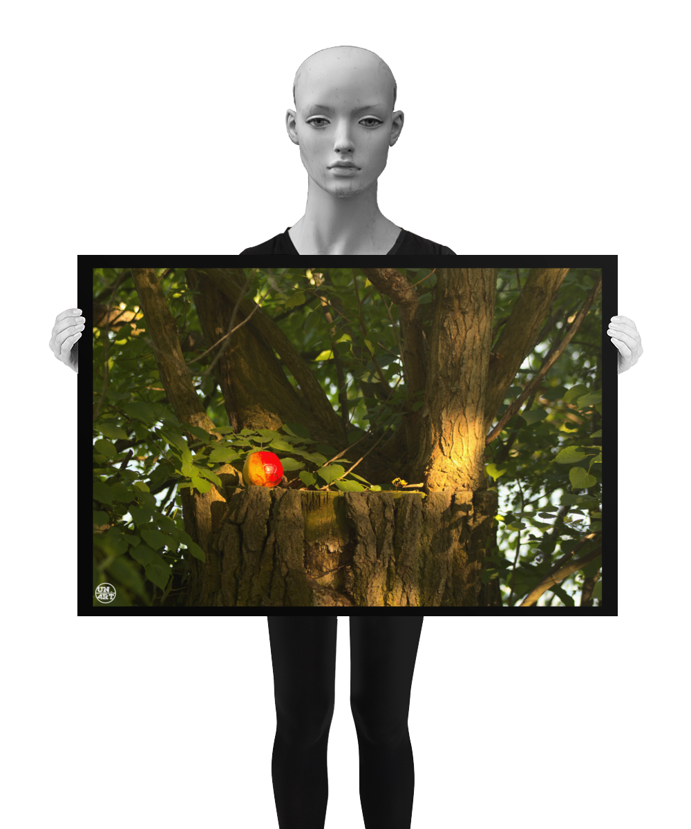 un4rt - photographie of a red and yellow apple on a cutted tree trunk. the trunk has new sprouts. the sprouts are full of leaves. the mage is held by a mannequin in black and white.