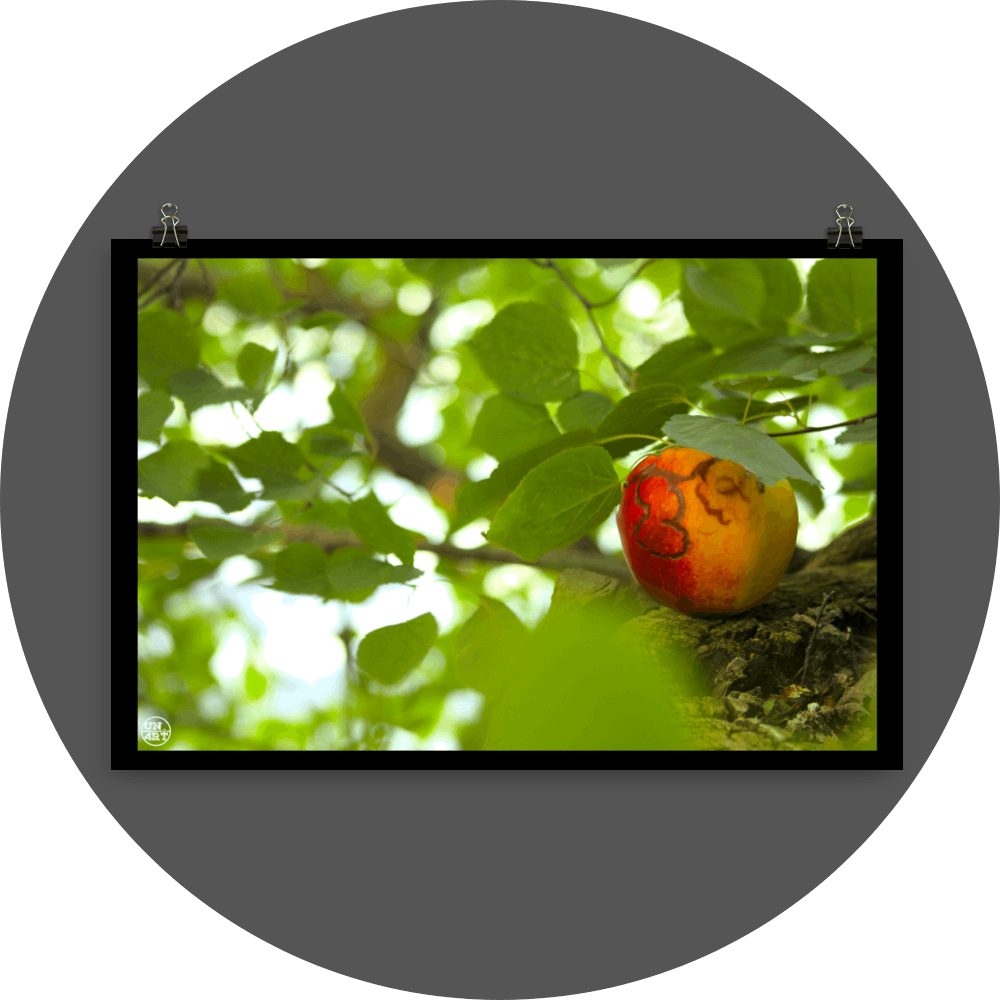 un4rt - photographie of a red and yellow apple on a tree trunk. the apple shows traces of a worm under its skin. the trunk has new sprouts. the sprouts are full of leaves. the leaves are all around. bookeh, blurry background.