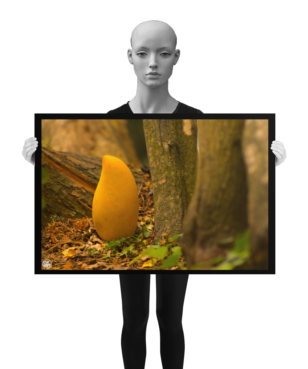 un4rt - photographie of a yellow mango in a forest. the mango is placed on the ground surrounded with tree trunks. ivy and old brown leaves on the ground. the poster is presented by a mannequin in black and white.
