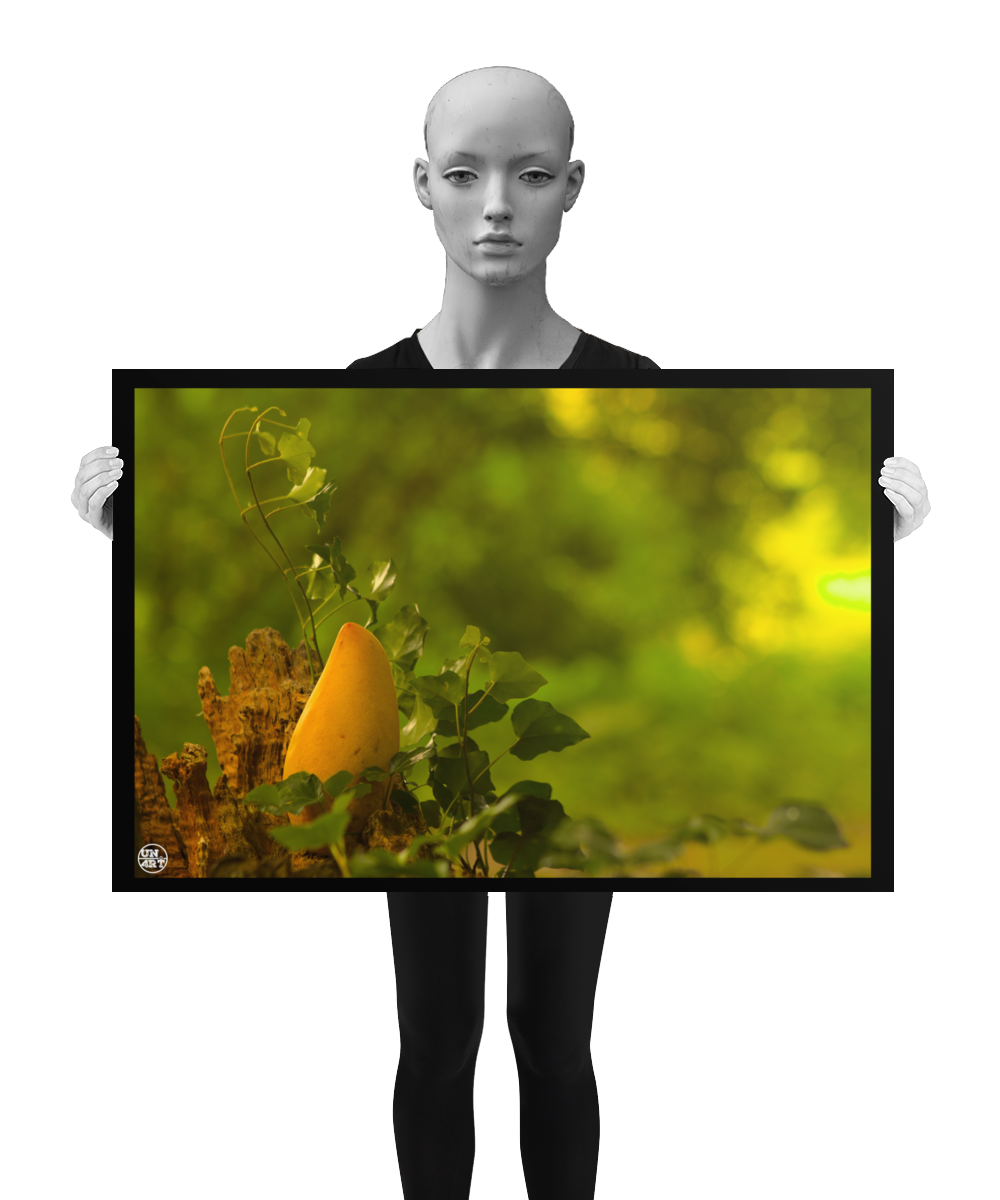 un4rt - photographie of a yellow mango in a forest. the mango is placed on top of a rotten tree trunk. some ivy around the mango. blurry and defocused background. the poster is presented by a mannequin in black and white.
