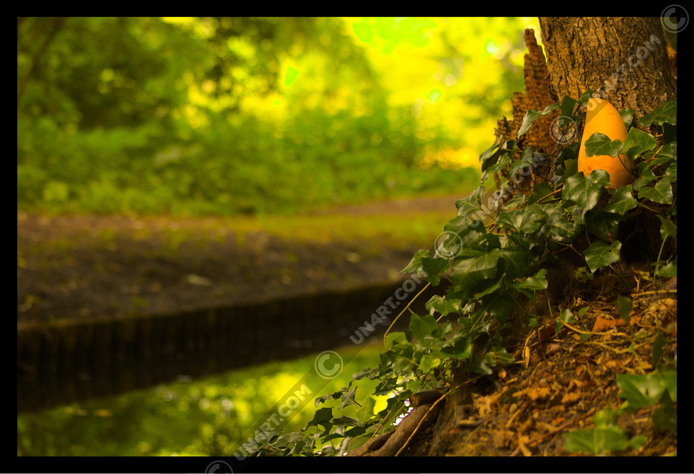 un4rt - photographie of a yellow mango in a forest. the mango is placed next to a rotten tree trunk. some ivy around the mango. a water ditch and lots of leaves in the background. bookeh.
