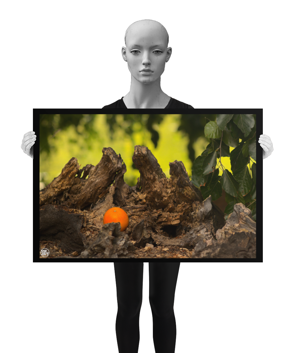 un4rt - photographie of an orange inside a forest. the orange is placed on top of a rotten tree trunk. some leaves in the foreground. blurry backround with hanging leaves. the image is shown by a mannequin in black and white.