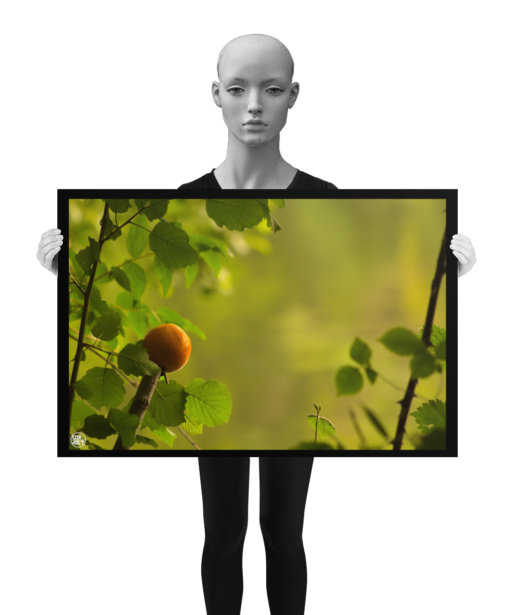 un4rt - photographie of an orange on top of a cutted branch. some small branches with leaves around the orange. blurry background showing the surface of a lake, reflecting the green colors of a forest. the image is shown by a mannequin in black and white.