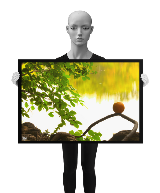 un4rt - photographie of an orange placed on an aerial root that meanders in the direction of a lake. a branch with leaves next to the orange. the background shows the surface of a lake with the reflection of a forest. the image is shown by a mannequin in black and white.