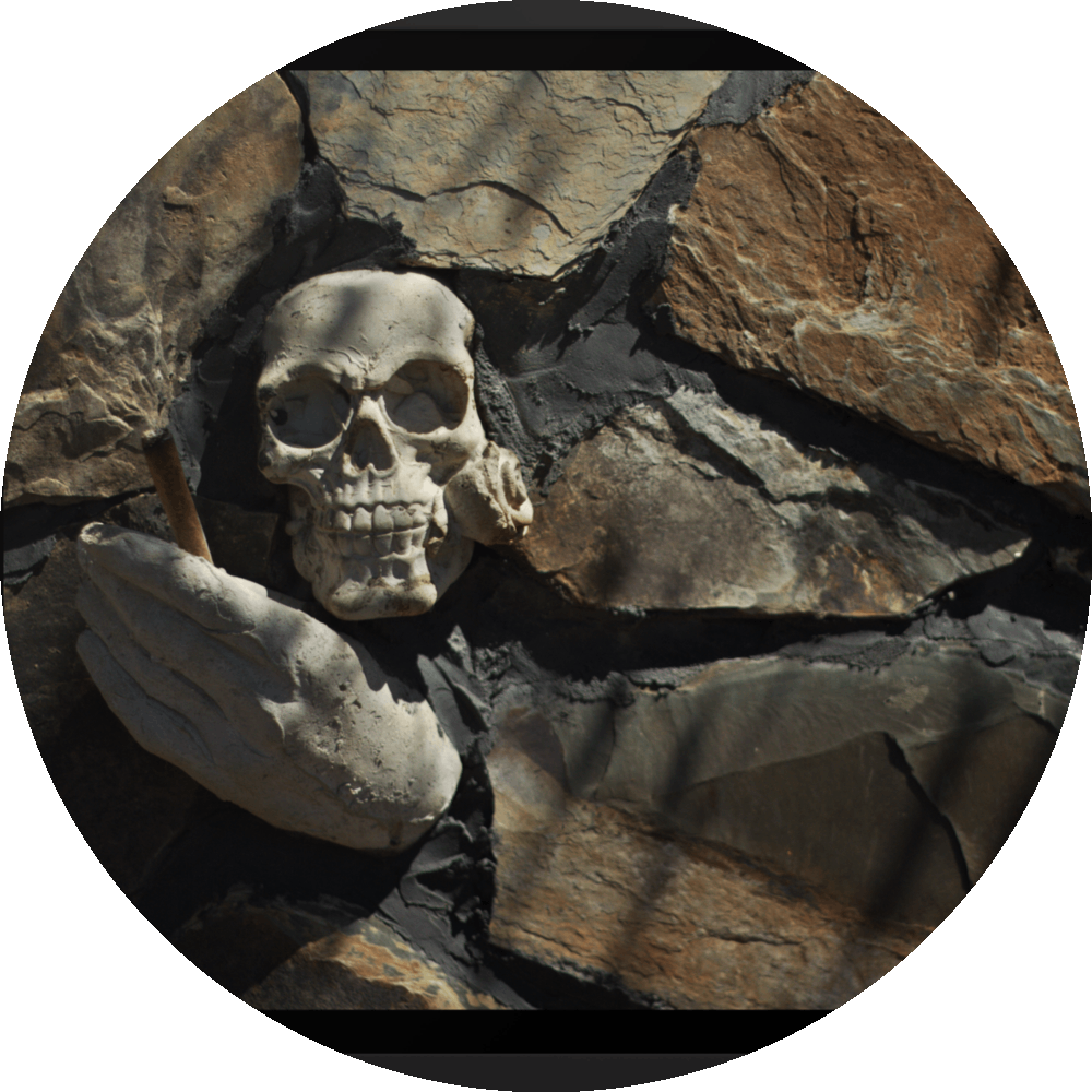 un4rt - the photographie shows some stones that are art of a bigger stone wall. a plaster skull with a rose in its mouth, a plaster hand with a joint and a baby face with plaster vampire teeth decorate the wall.