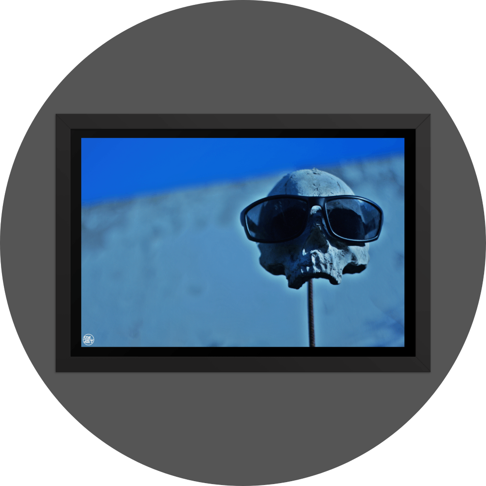 un4rt - the photographie shows a skull placed on a metal stick. the skull is wearing sunglases. the lower jaw is missing. a white wall and blue sky in the background. the background is very unsharp. 