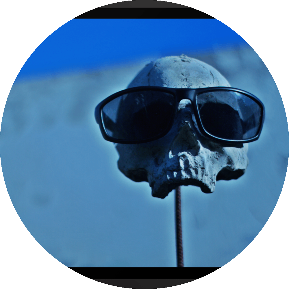 un4rt - the photographie shows a skull placed on a metal stick. the skull is wearing sunglases. the lower jaw is missing. a white wall and blue sky in the background. the background is very unsharp. 