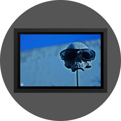 un4rt - the photographie shows a skull placed on a metal stick. the skull is wearing sunglases. the lower jaw is missing. a white wall and blue sky in the background. the background is very unsharp. 
