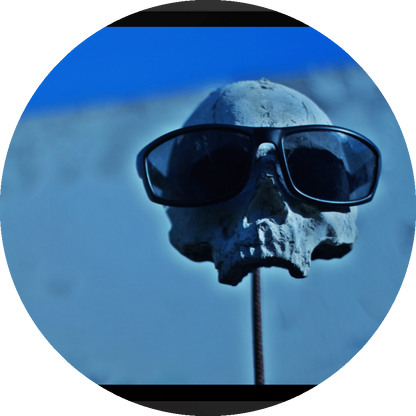 un4rt - the photographie shows a skull placed on a metal stick. the skull is wearing sunglases. the lower jaw is missing. a white wall and blue sky in the background. the background is very unsharp. 