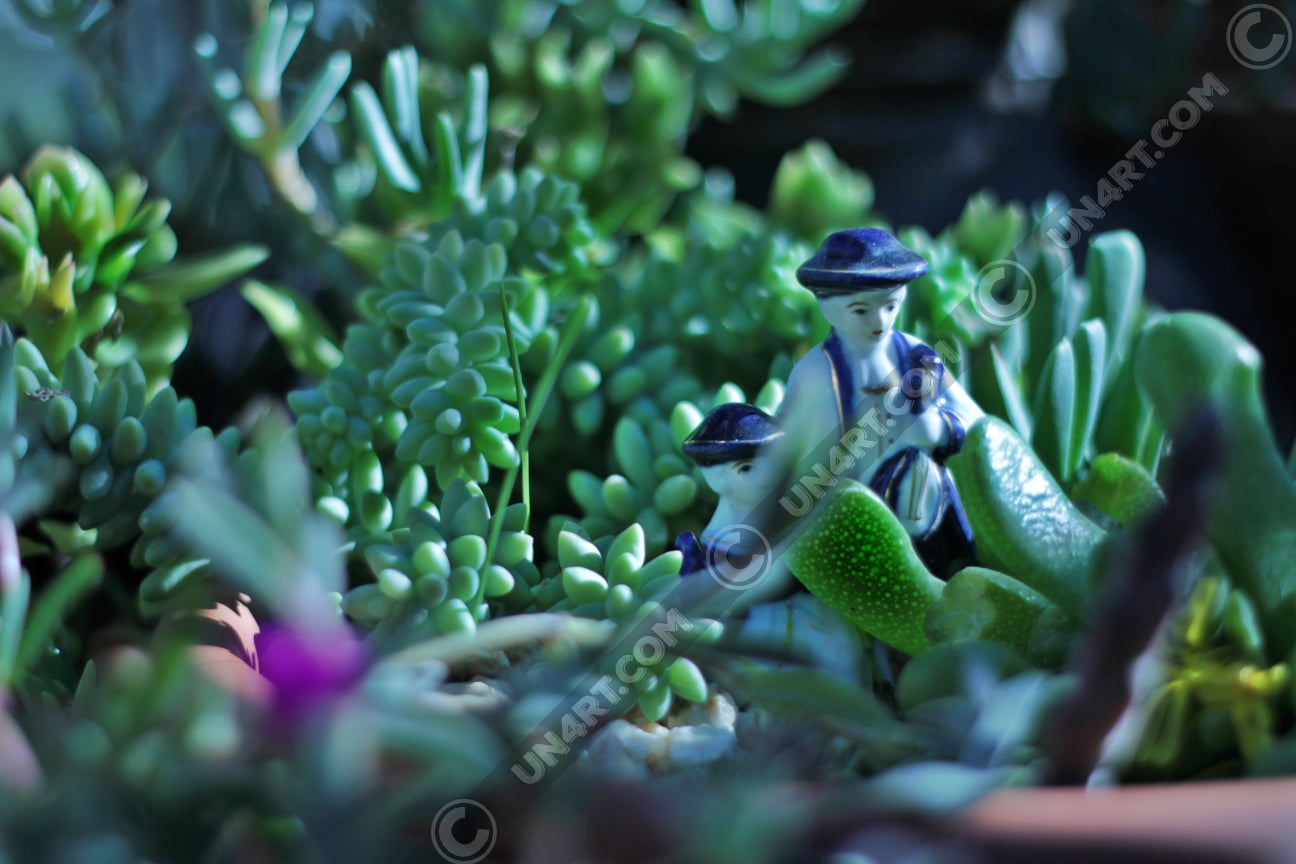 un4rt - the photographie shows 2 small porcelain figures in blue and white in the middle of a variety of succulents. more unsharp succulents in the foreground, very unsharp backround. 
