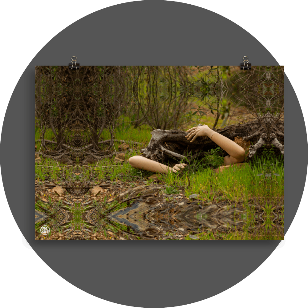 un4rt - a photographie that is mirrored on all sides. the image shows an old fallen tree trunk. two arms are coming out of the bottom touching the trunk. gras and bushes without leaves around the trunk.