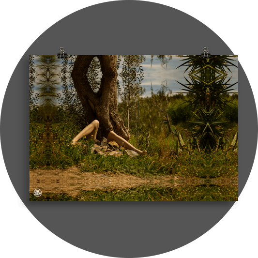 un4rt - a photographie that is mirrored on all sides. the image shows the legs of a mannequin in front of an old olive tree trunk. stones between the legs. it seems like the mannequin is stuck under the trunk. a lot of wild growing greenery around. hills with trees and a cloudy sky in the background.