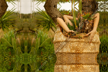 un4rt - a photographie that is mirrored on all sides. the image shows three arms coming out of a huge ancient vase. some plants are planted into the vase. two old tree trunks behind the vase. wild greenery and some hills in the background. the background is unsharp.