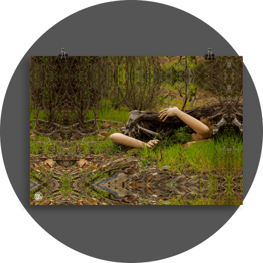 un4rt - a photographie that is mirrored on all sides. the image shows an old fallen tree trunk. two arms are coming out of the bottom touching the trunk. gras and bushes without leaves around the trunk.